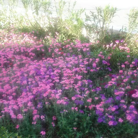 Akamas Health Farm &